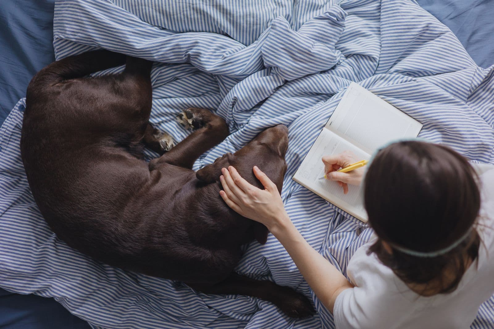 Pet Sağlığı Günlükleri